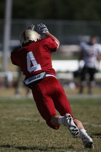 开云电竞-五大联赛最具统治力的球队如何打造，五大联赛良心球队